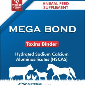 MegaBond